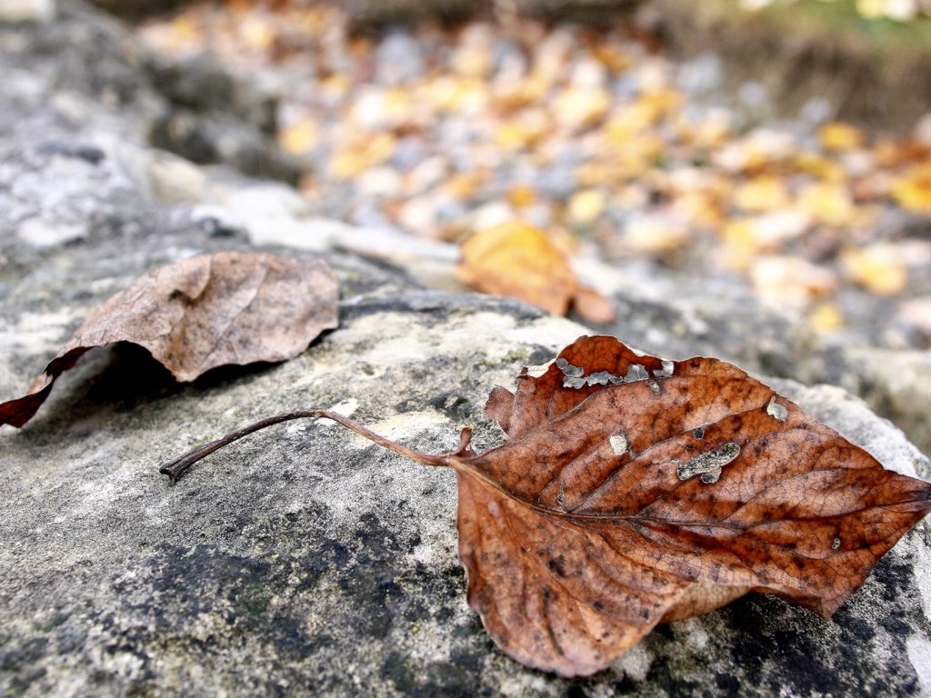 CoffeeScope's tweet image. TODAY will be amazing! 
So wake up and smile. Remember positivity is a choice that becomes a lifestyle

unknown 

Happy Sunday. GM