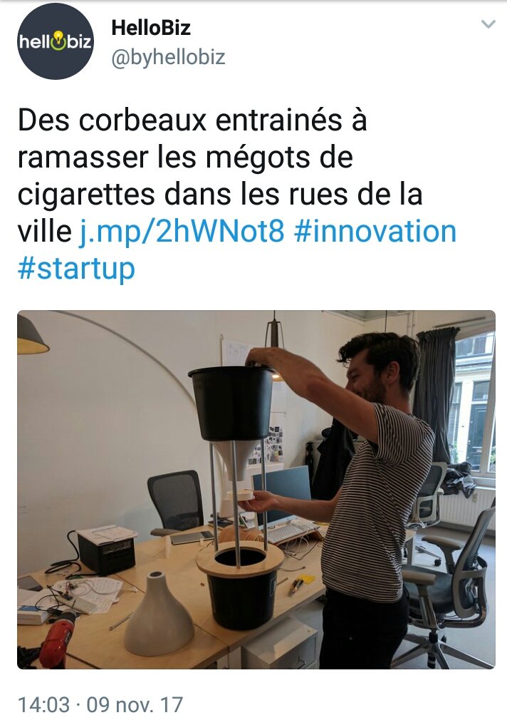 TaniaKessaouti's tweet photo. "On a d'abord essayé d'entraîner les humains à jeter leurs mégots à la poubelle mais le cerveau de leur espèce est trop limité". https://t.co/W49TohX5nE