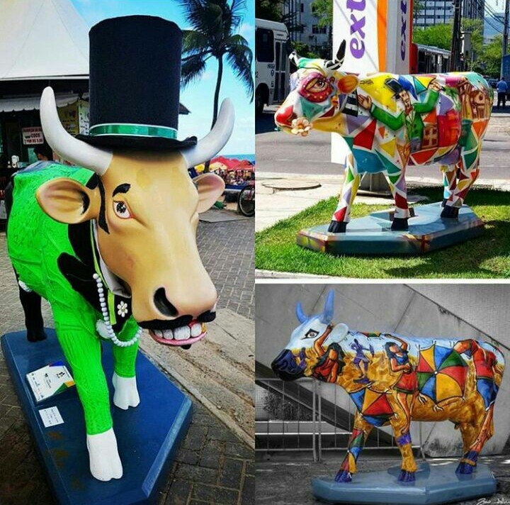 Recife artistas show belas obras