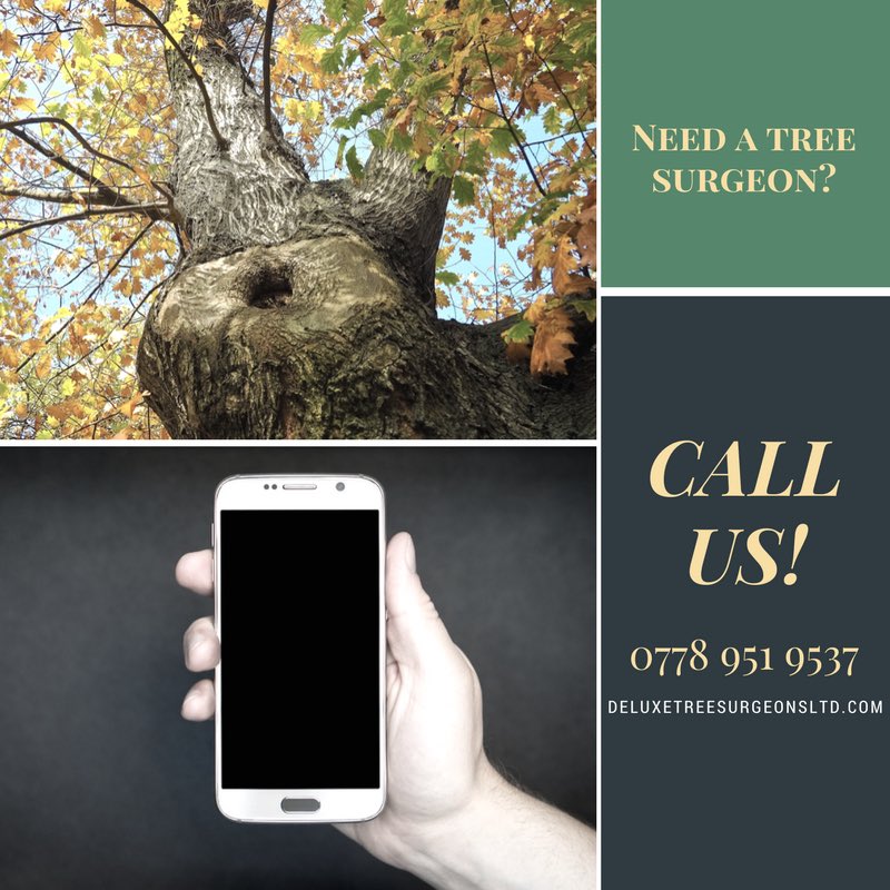 DeluxeTree's tweet image. Give us a call before the bad weather hits! #northeast #sunderlandhour #northeasthour