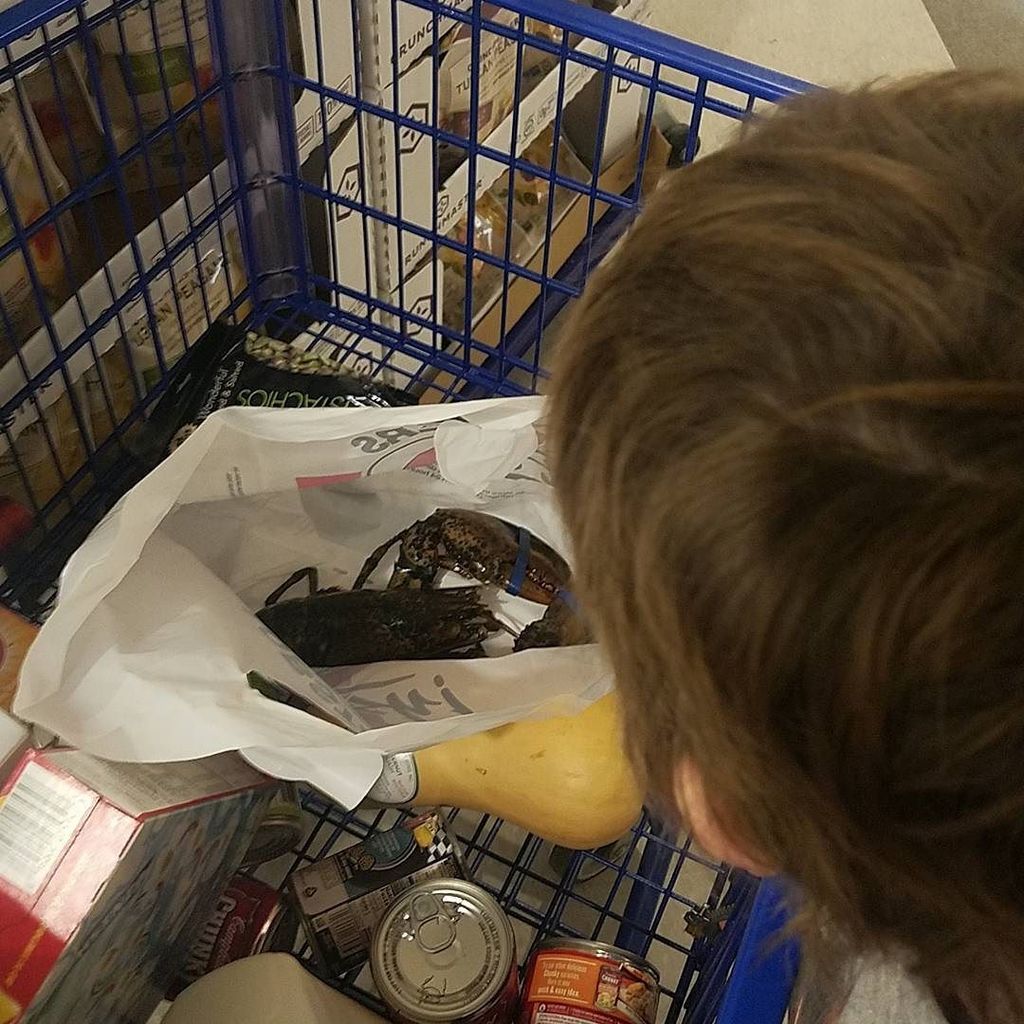 wafflesundaypod's tweet image. We're trying a new thing for dinner tonight ift.tt/2AE9uZs