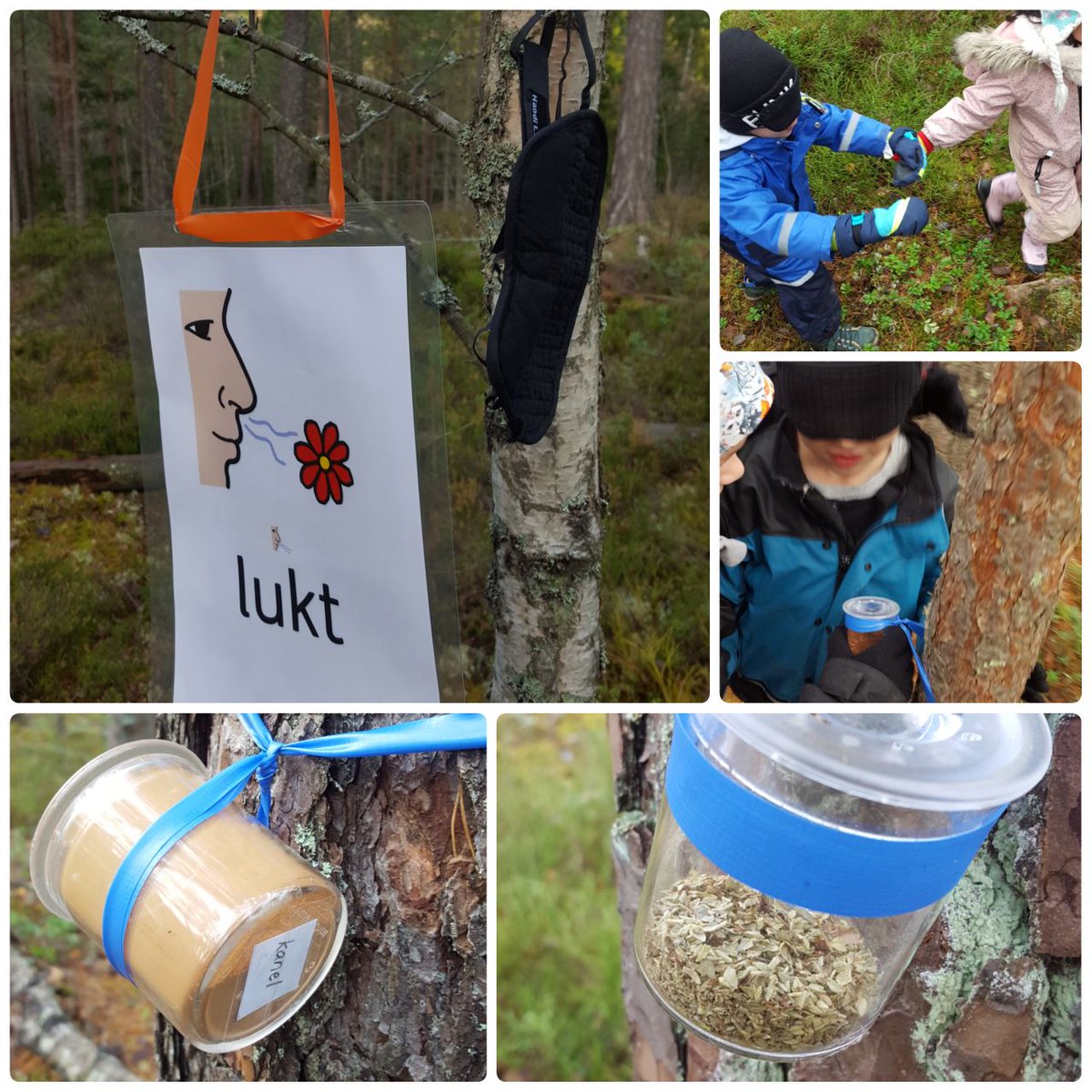 KrpfpHelena's tweet photo. #sinnen #utomhuspedagogik #äventyrspedagogik #Karlstad #Karlstadkommun #svenska #Kronoparksskolan #skolskogen #lukt #ögonbindel #attlärainute #samarbete #kanel #oregano #kaffe #kokos #dofta https://t.co/N8toNytuxe