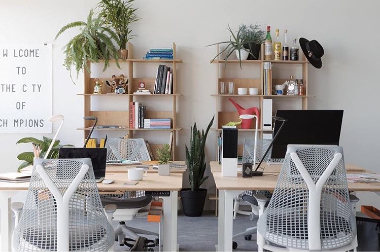 TAXICommunity's tweet photo. Flight will feature built to suit @theboasystem, large green roofs &amp; spec suites furnished by @open_desk PC: @jcbuck https://t.co/cShko2OS19