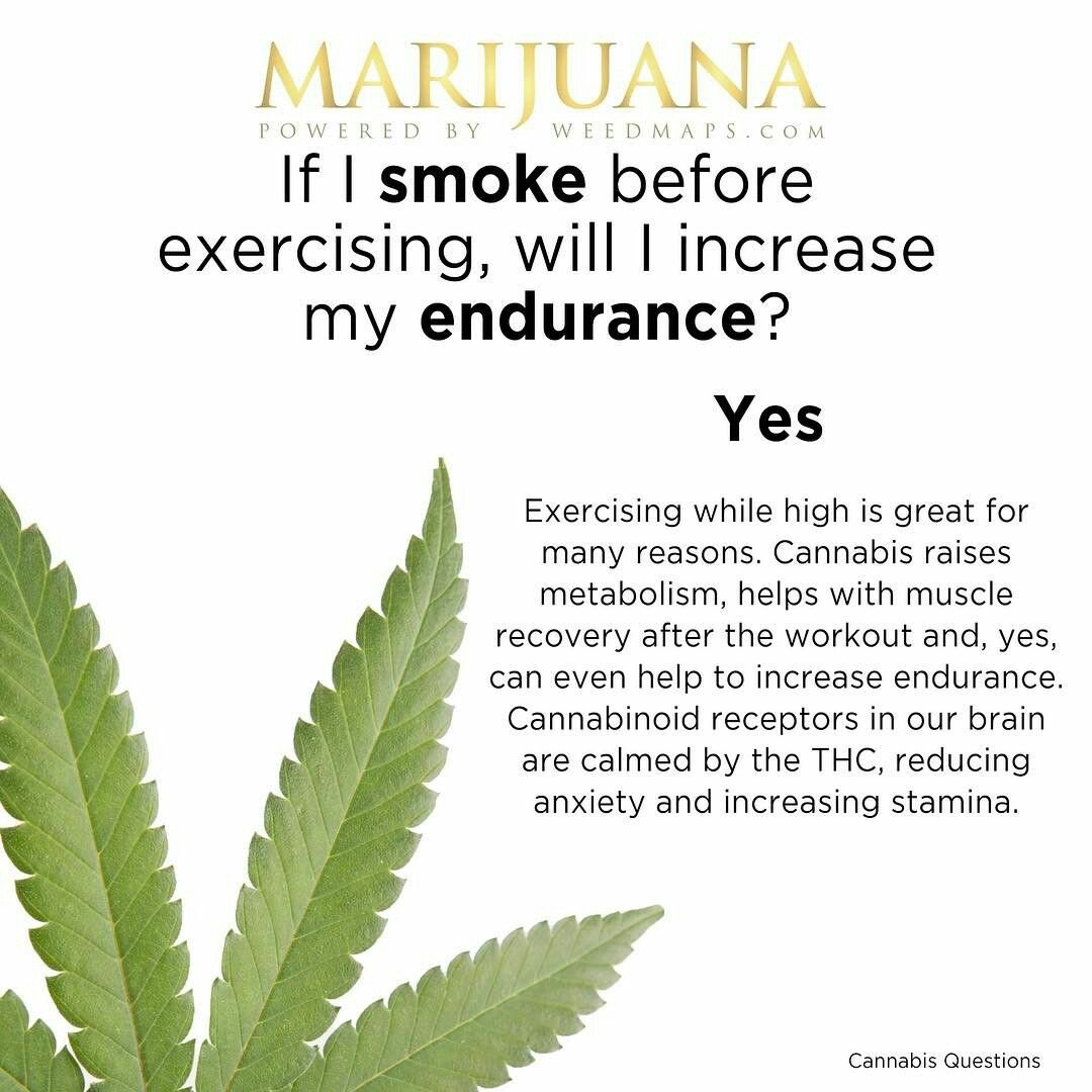 gotbudmenu's tweet photo. Smoking weed before exercising increases your endurance! 
•
#atheletes #run #runner #toronto #exercise #gym #health #marijuana #420 #news #fitness #marathon #trainning #running #sports https://t.co/LlllpRL4Bp