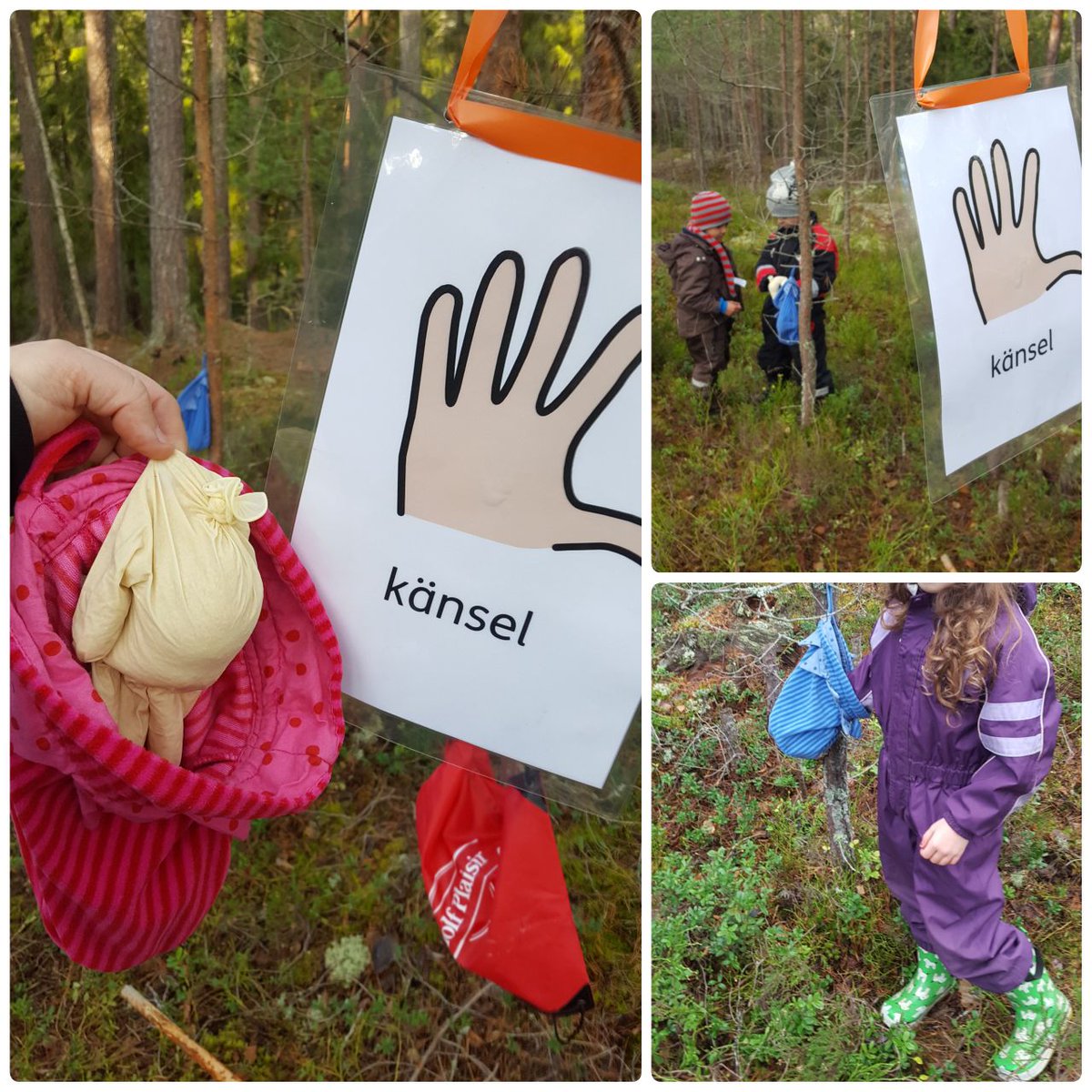 KrpfpHelena's tweet photo. #sinnen #utomhuspedagogik #äventyrspedagogik #Karlstad #Karlstadkommun #svenska #Kronoparksskolan #skolskogen #känsel #hemligpåse. Hur känns det i de olika påsarna? #spännande https://t.co/wLcf1jG3gP