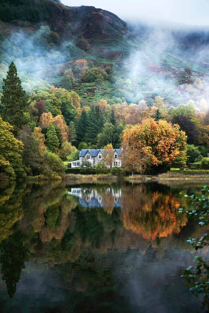 Kobus du Toit Bosman tweet media