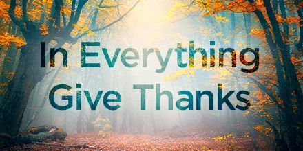 KayArthur's tweet photo. Have you found that one of the hardest commands in all the Word of God to obey is 1 Thessalonians 5:18: “In everything give thanks; for this is the will of God in Christ Jesus concerning you”? Read Kay Arthur's powerful blog:https://t.co/tLeZAZrqa0 https://t.co/NK8dMA25fu