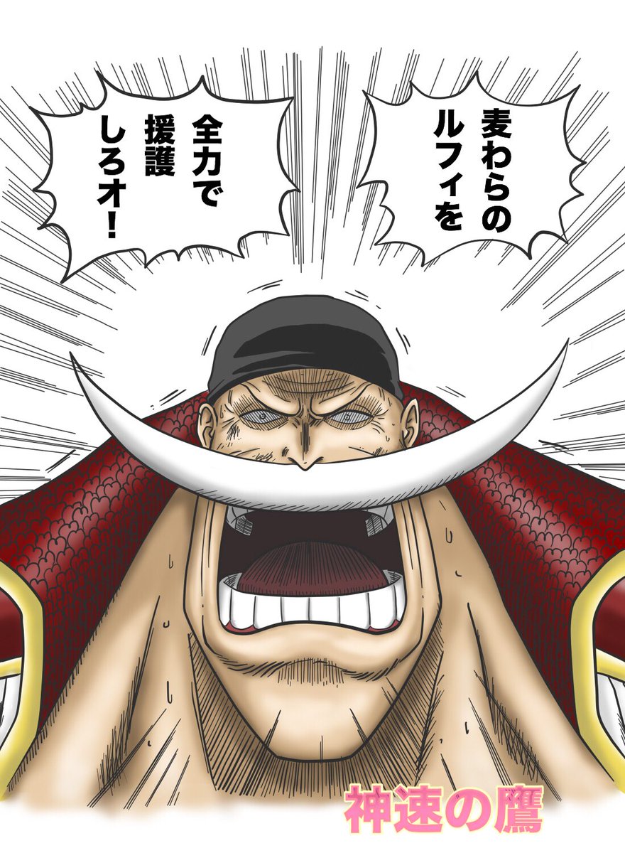 神速の鷹 ワンピースイラスト 白ひげ 完成 ワンピース Onepiece Onepieceart 白ひげ 神速の鷹 T Co Zxv27voviz Twitter