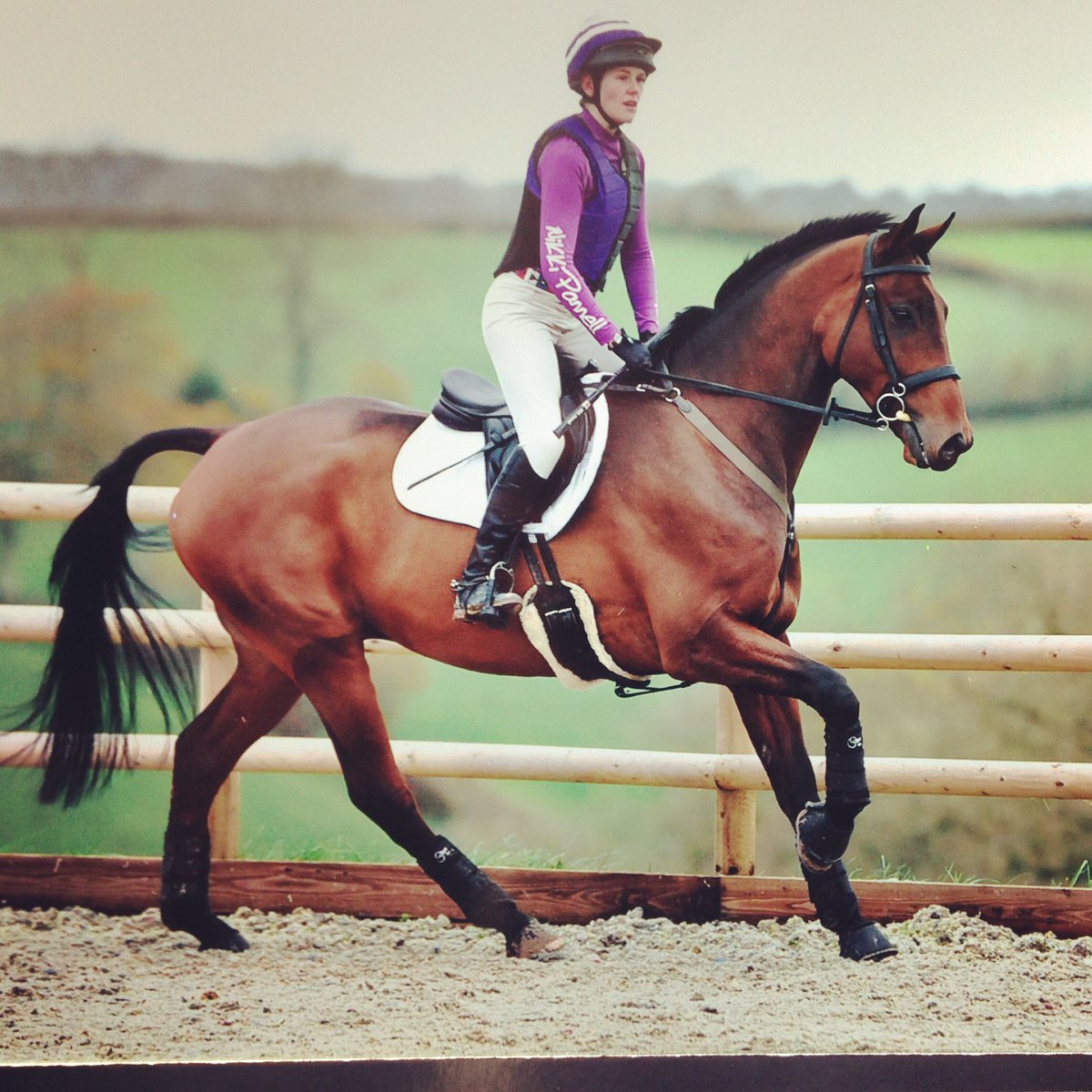 npan3044's tweet photo. Super day @DowneFarm for there first arena eventing ! Bert jumped a fab double clear to finish 8th #topman#lovelyplace#fabtrack#fabarena https://t.co/T4j1o9H2wy