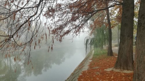 Herbst in Temeswar