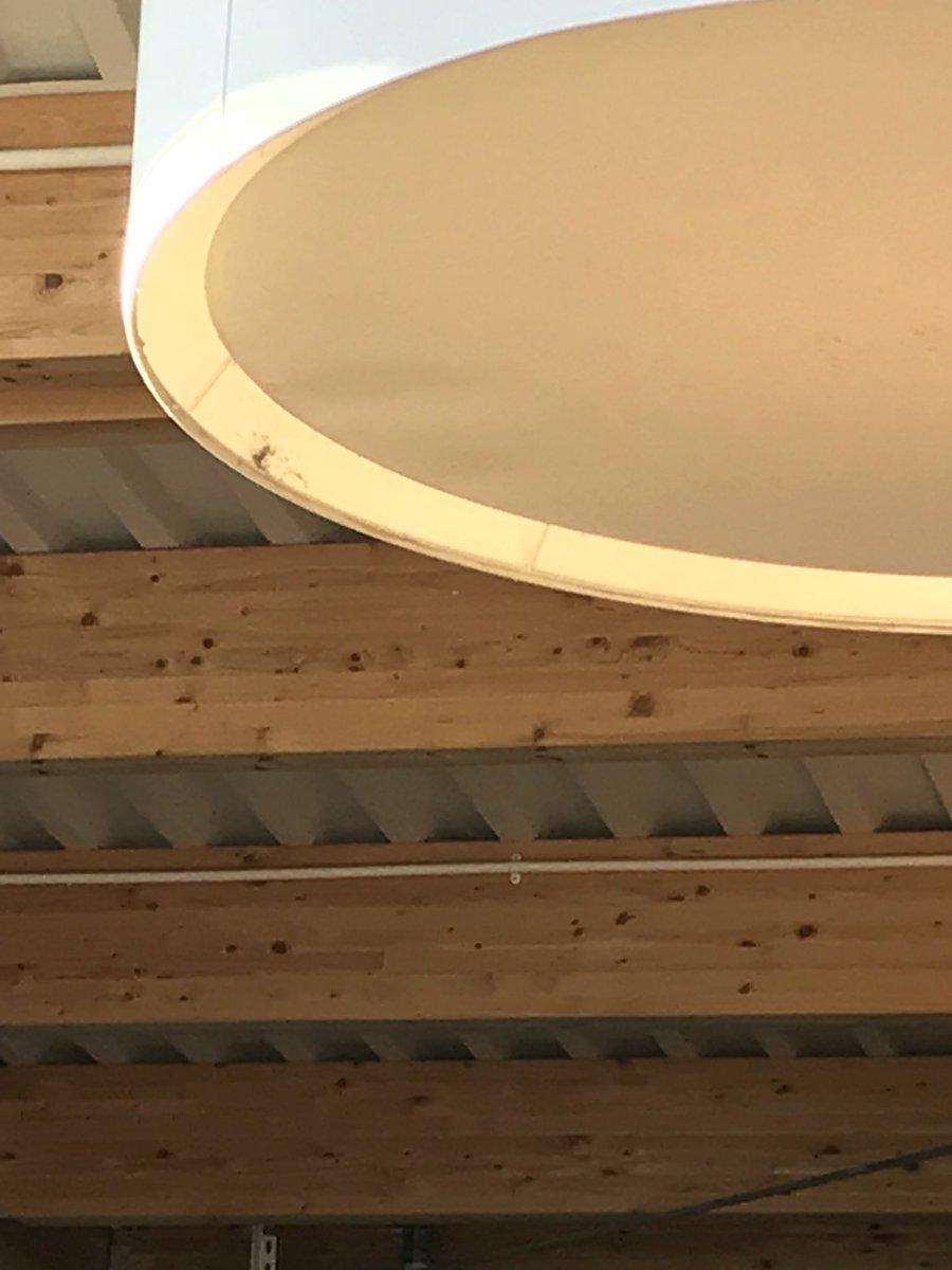MarkBatty2's tweet photo. @dobbies mould on the lights, cobwebs over all windows and left a cleaning bottle on the seat. Poor service start to finish by Alison Hill https://t.co/VlYwJ8xXG9