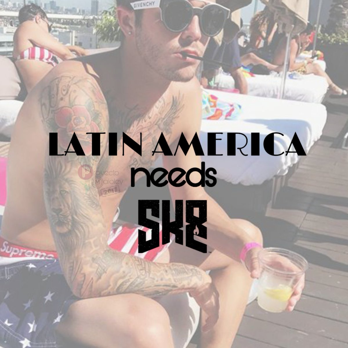 maloleybless's tweet photo. CHILE NEEDS @skatemaloley 
#LatinAmericaNeedsSkate https://t.co/VoK0LIaKQw