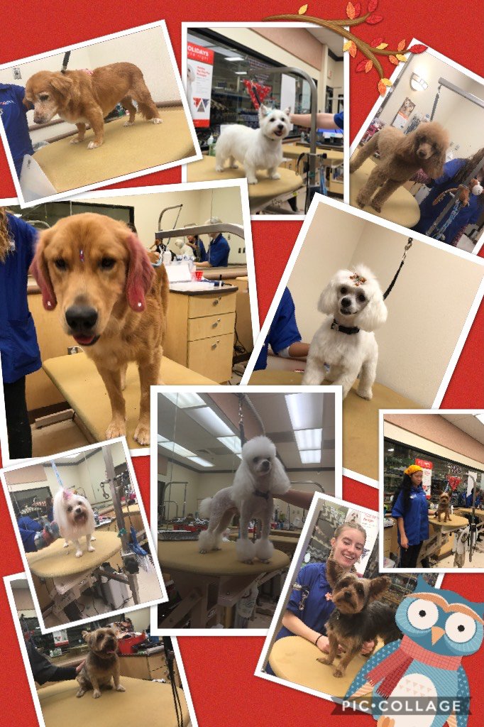 Week #2 we have a ton of talent here at store #1617 Sicklerville, Nj we've had quit piccollage.com/_kvwyMGO7