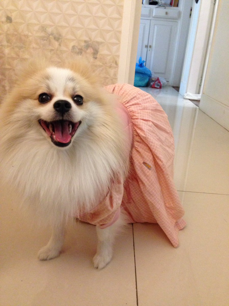 beatrizdemonio's tweet photo. minha mae disse pra eu guardar minhas roupinhas de bebê pra passar pros meus filhos

finalmente esse dia chegou!!!!! https://t.co/gD0nGBssOc