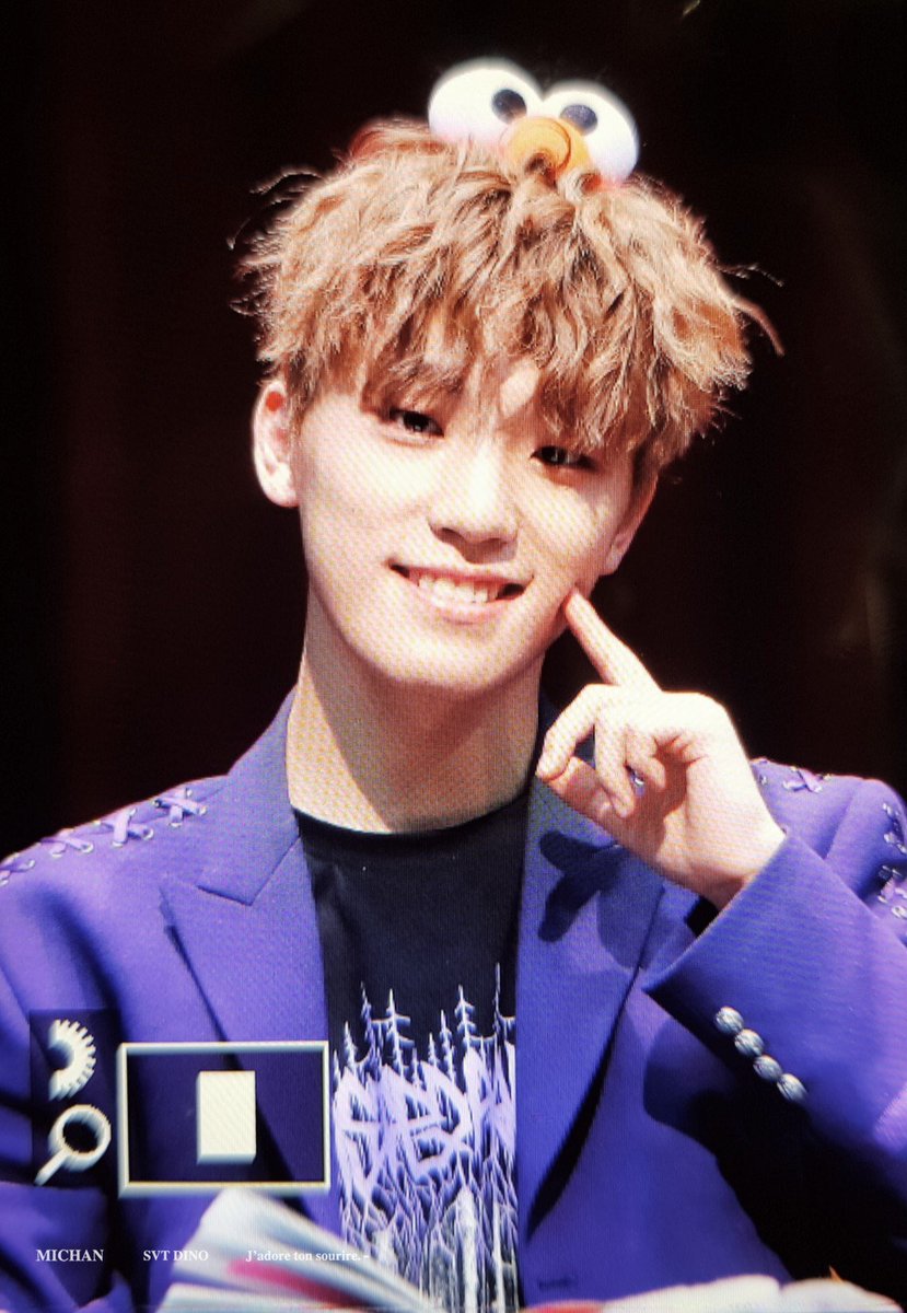 he is so fluffy and curly i love it 
© michan