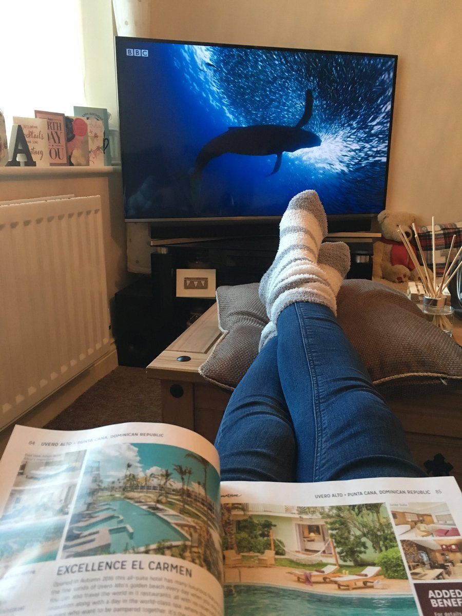 Amajor89's tweet photo. Catching up on #BluePlanet2 whilst looking at honeymoon destinations ☀️🌴🍹👌🏼 #notabadsunday https://t.co/gwOf8fHlD0