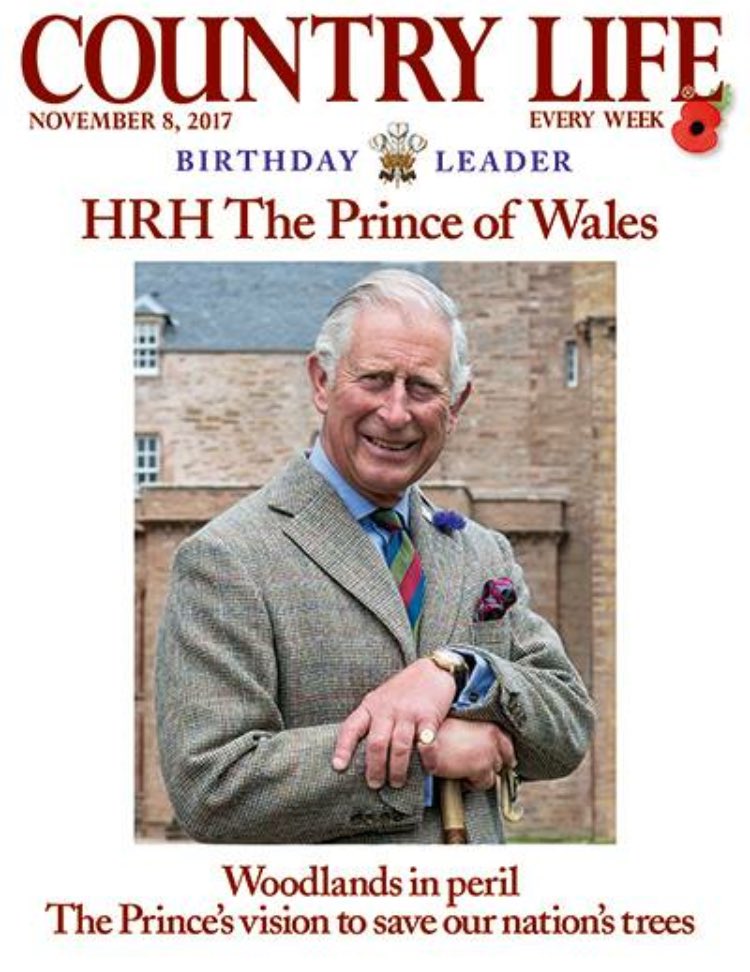 thepatternspy tweet media