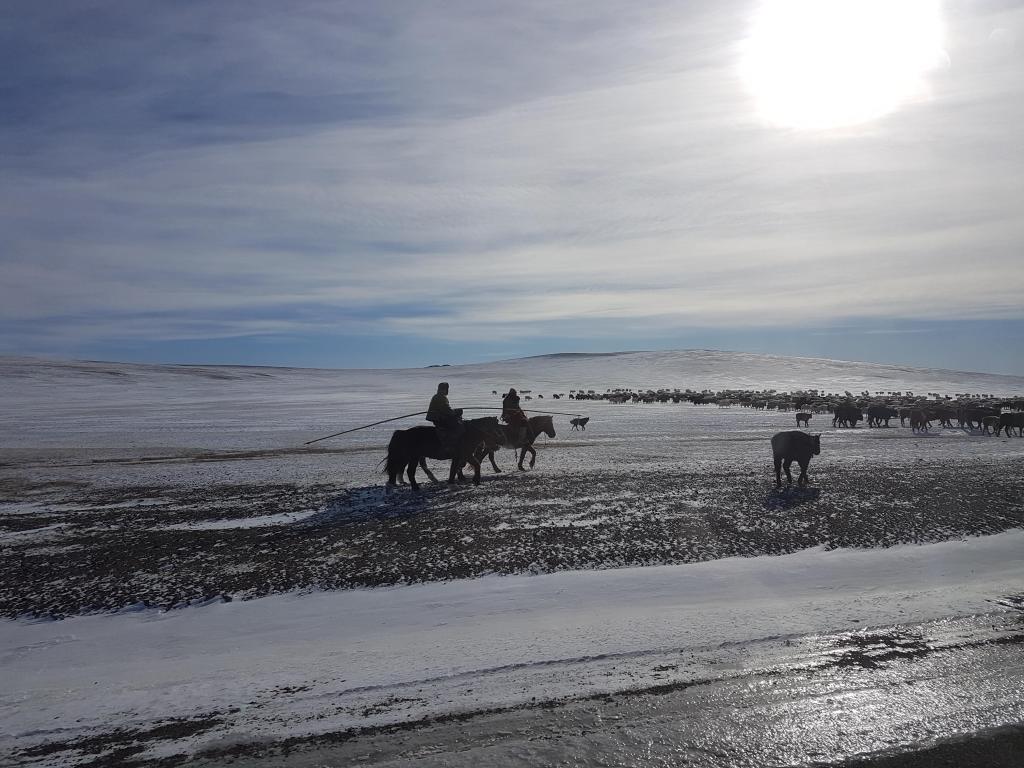 Newall Hunter tweet media