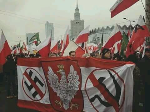 Diogo Vilela tweet media