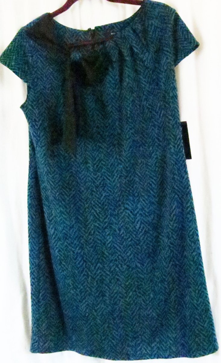 Alzadagrace's tweet photo. Blu Sage Dress Petites 12P Cap Sleeve Knee Length Multi Color #BluSage #OverallDress https://t.co/qKpFZVUbrZ via @eBay https://t.co/b4mJda2yOM