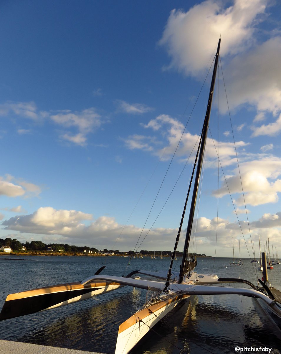 pitchiefaby's tweet image. Géant des mers... mât de 42m 😱 il passe tout juste dans mon objectif 😁
#MaxiTrimaran #Spindrift2 #LaTrinitéSurMer #Morbihan #Breizh