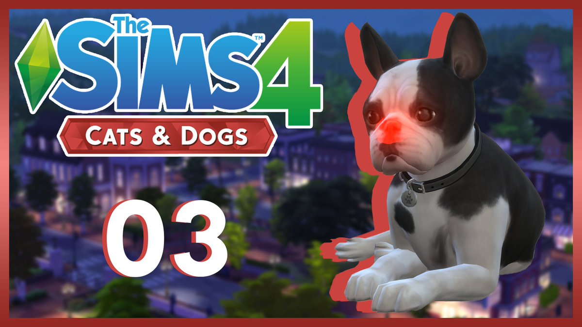 Shiny_Plumbob's tweet photo. It's episode 3 of my new #TS4CatsAndDogs let's play and poor Maxie is feeling under the weather! ☹️ ▶️ https://t.co/BfLhgX7mlt https://t.co/VcguFoIWfi