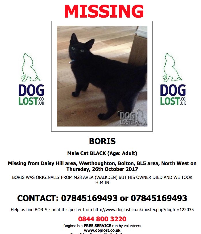 #LOST BORIS
Male #Cat #DaisyHill #Westhoughton #Bolton #BL5 #Lostcat doglost.co.uk/dog-blog.php?d… @ClaireBearGDL