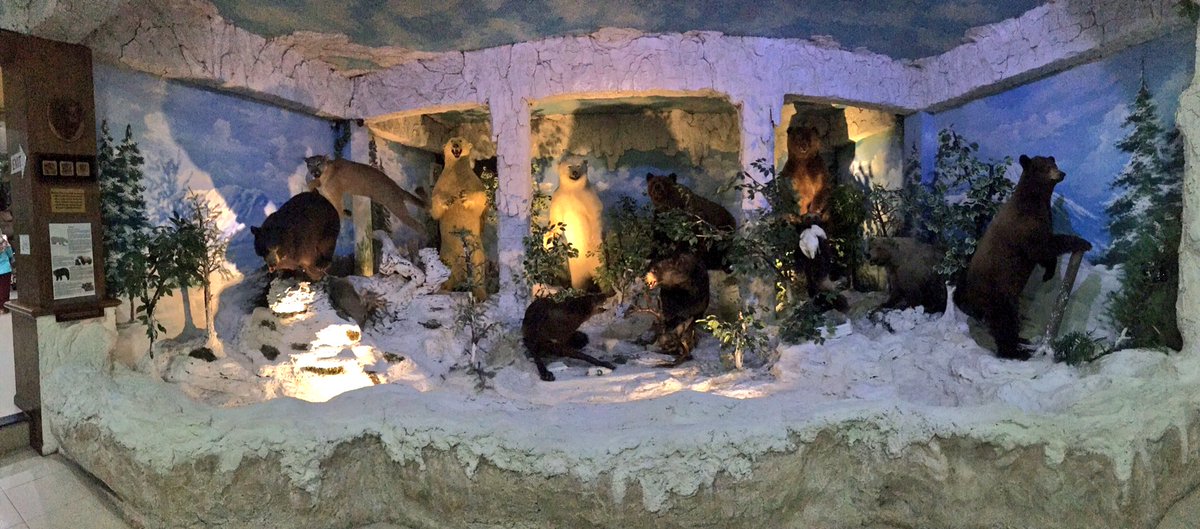 Mizuki 今日は久しぶりのメダン観光 外国人はrp 1500と 高い入場料をしぶしぶ払って 博物館へ しかしながら ところ狭しと動物の剥製が展示されており 日本の博物館では味わえない迫力でした 有名な映画のポスターやサインがあったので