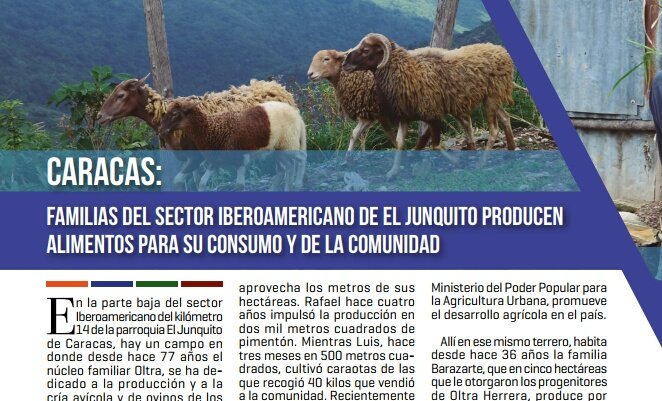 MercalOficial's tweet photo. #FelizDomingo camaradas compartimos la edición N°54 de la #RevistaCLAP https://t.co/av7EXjdQhF https://t.co/XKwPQxtP2p