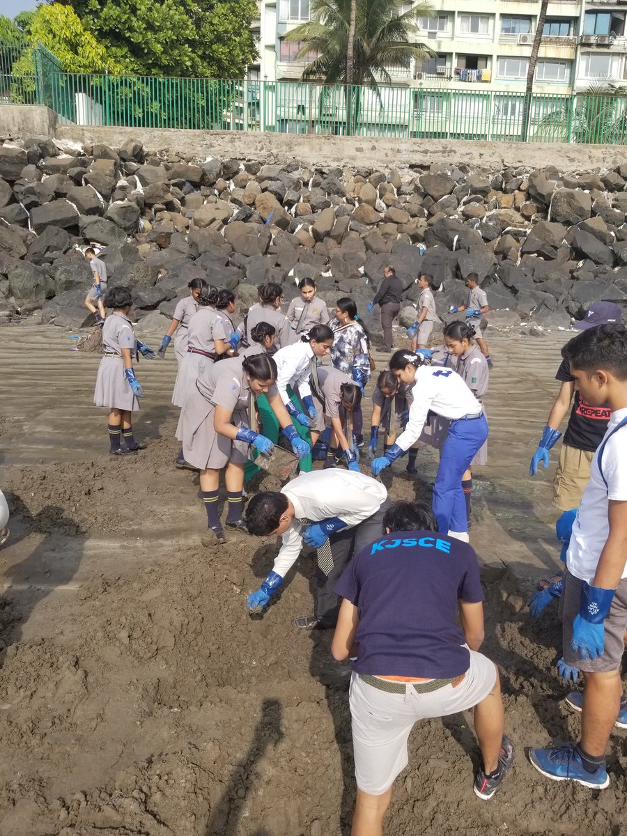 AfrozShah1's tweet photo. Week  108 ends .Thank you @LeylaAcaroglu , @unschools , @LavekarBharati , @yogirajdabhadka  , @MMHSGOREGAON , Dhai Akshar  for the amazing cleanup. Kids , Citizens , MLA and Volunteers from 12 countries were working hard to protect the ocean.40 tons of plastic plucked out.. https://t.co/aURcJfFqlg