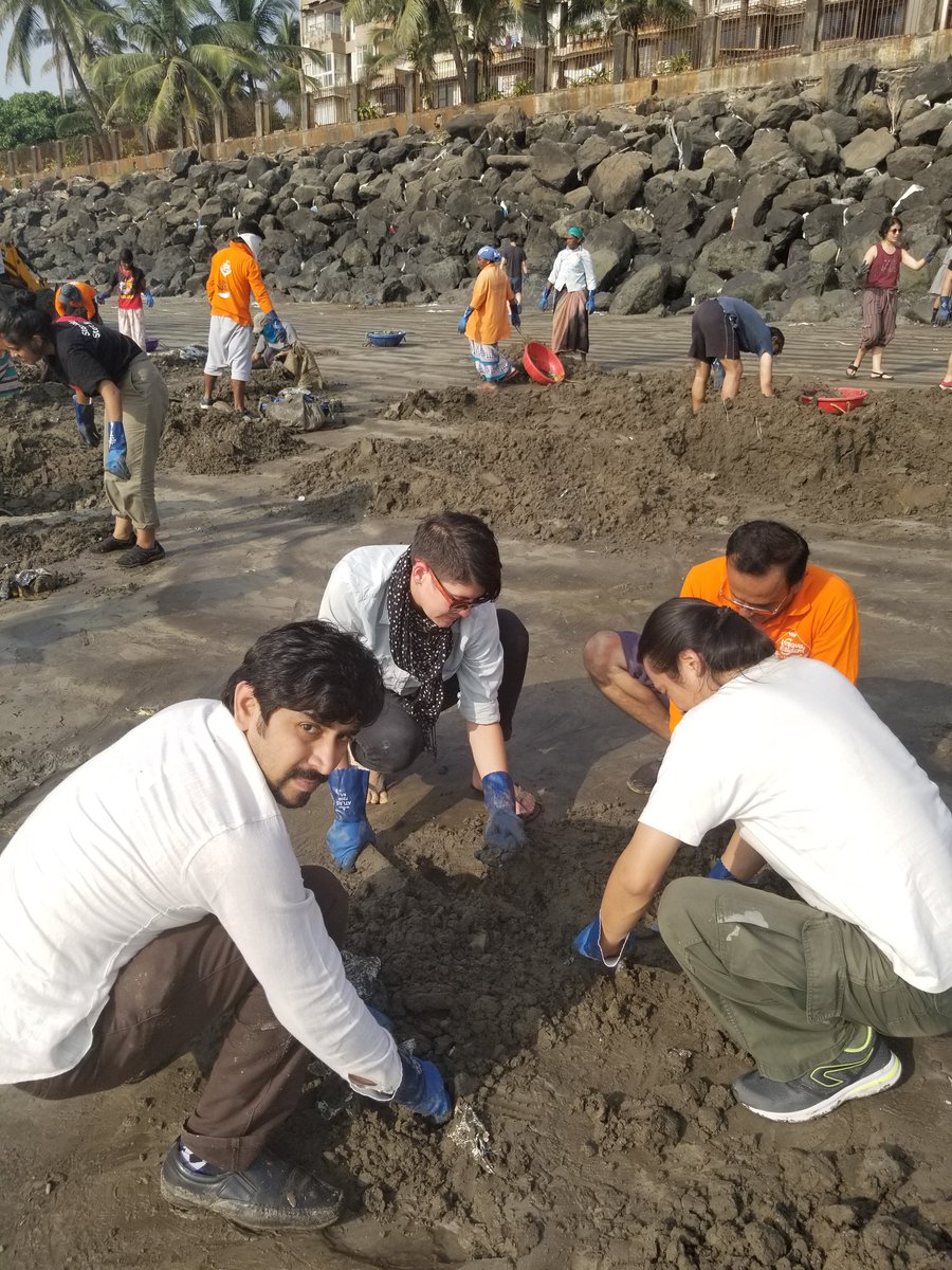 AfrozShah1's tweet photo. Week  108 ends .Thank you @LeylaAcaroglu , @unschools , @LavekarBharati , @yogirajdabhadka  , @MMHSGOREGAON , Dhai Akshar  for the amazing cleanup. Kids , Citizens , MLA and Volunteers from 12 countries were working hard to protect the ocean.40 tons of plastic plucked out.. https://t.co/aURcJfFqlg