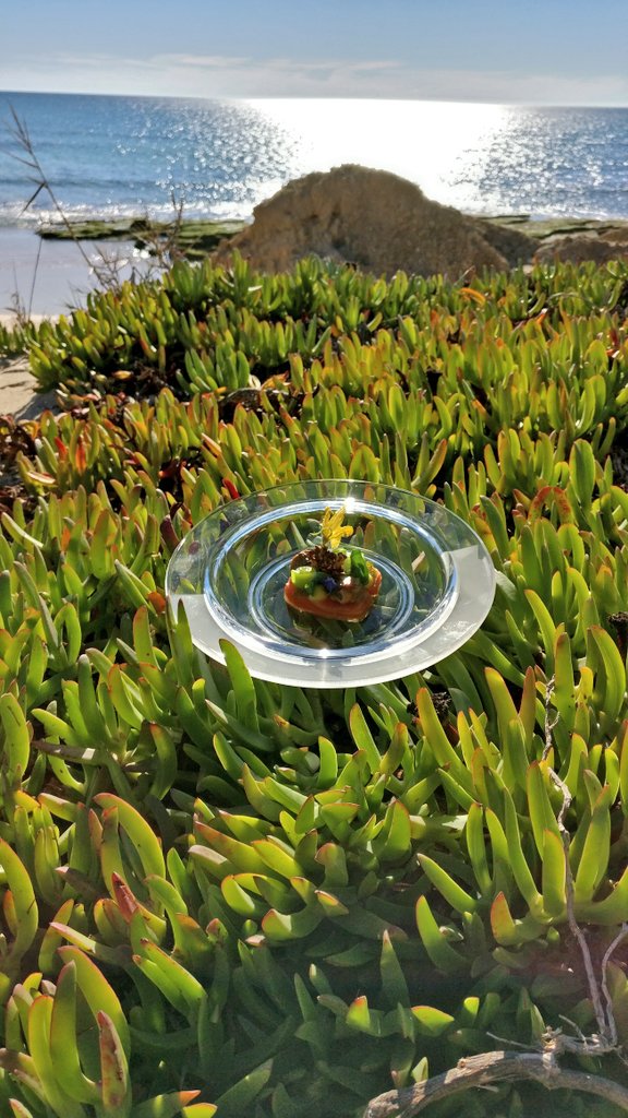 Food Reporter tweet media