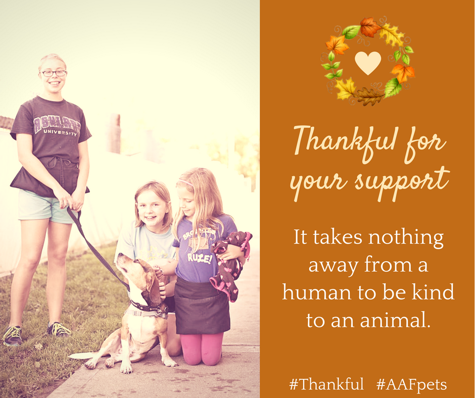 AAFPets's tweet photo. #Thankful #AAFpets https://t.co/oGmrP28x9r
