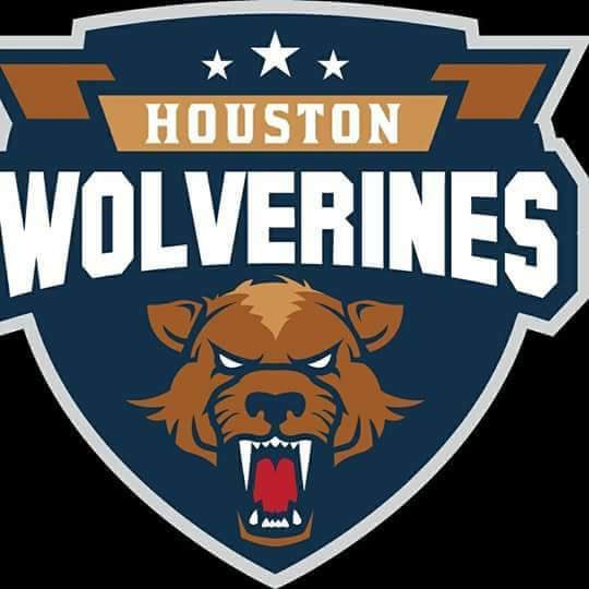 _MLBA_'s tweet photo. We are proud to announce that the Houston Wolverines have joined the #MLBA and will play in the Red River Valley Conference! https://t.co/t5eknqlcwl