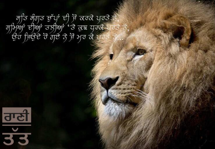 ranitatt's tweet photo. #Ranitatt https://t.co/acKLkR7e8U