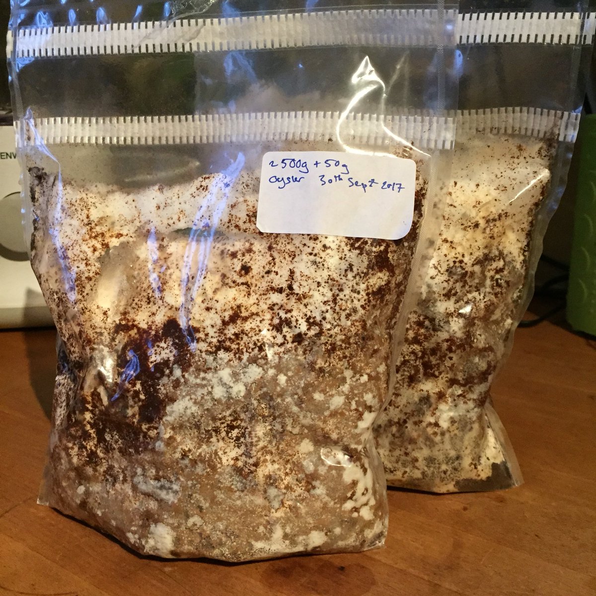 farm_lab's tweet photo. .@SowtheCity #diymushroom bags ready to bring out of the dark. Cut a cross in the bag (5cm by 5cm) place in indirect light and spray tap water into the hole daily until mushrooms fruit... https://t.co/NDnaiO1eJt