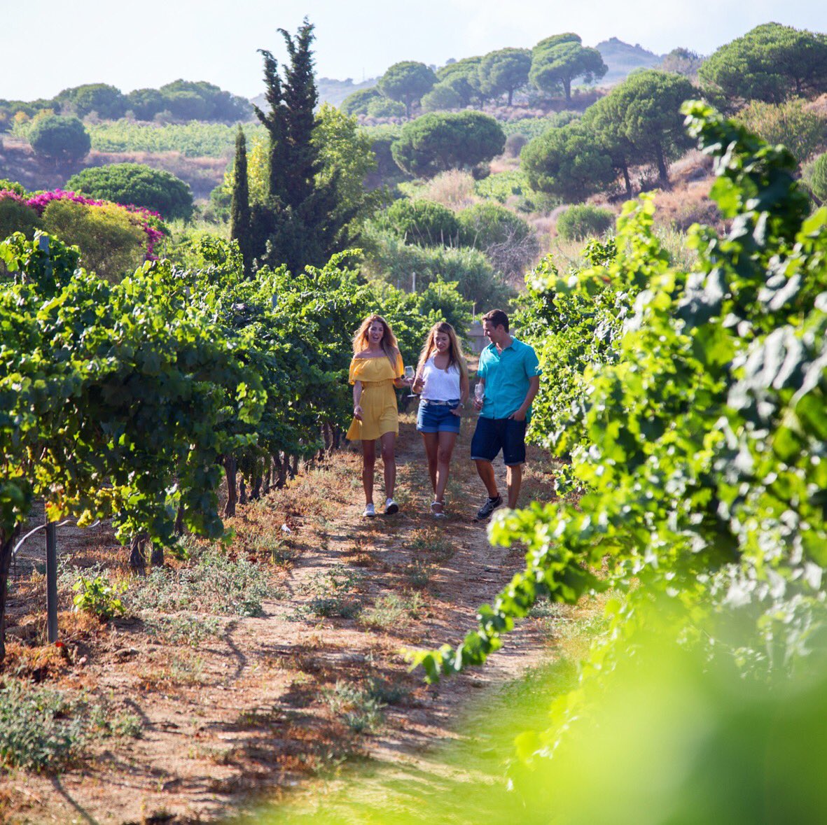 Happy Wine Tourism Day in Europe #Enoturismo #WineTourismDay #enoturisme