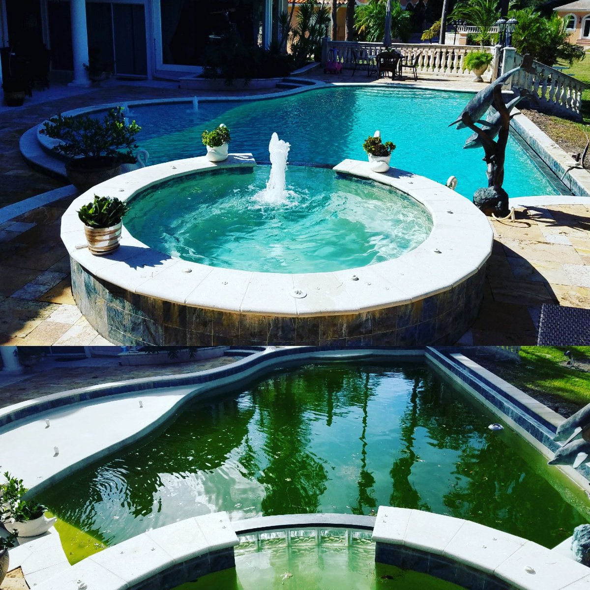 FLPoolServices's tweet image. Before and after pool rescue!!! Thanks Kia Amrooei for the opportunity to show you our work! 
You choose... We care!