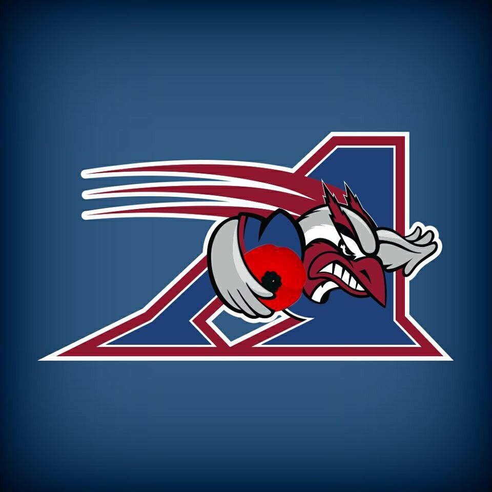 Thumbs up to the @MTLAlouettes for their logo redesign for Remembrance Day! https://t.co/Ns9AwtN4D9