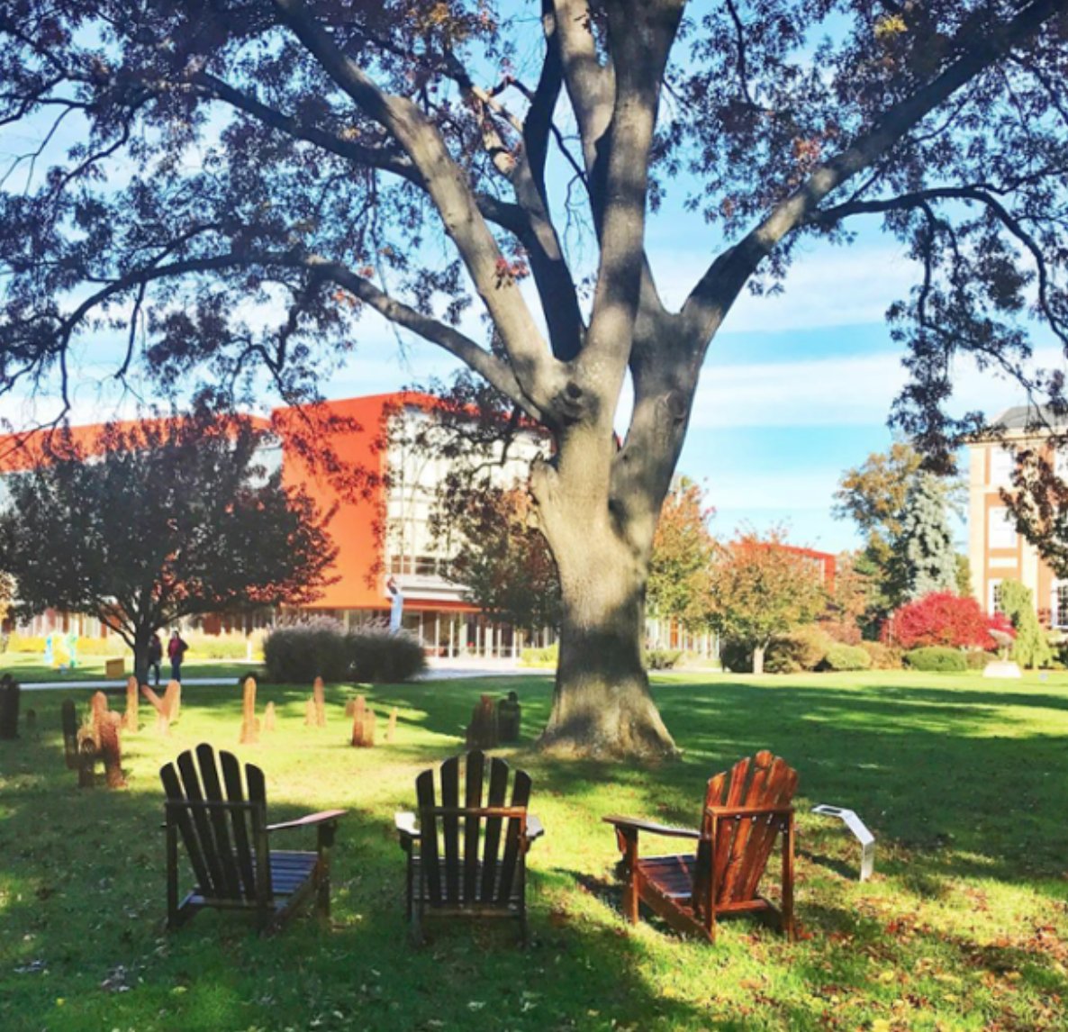 AdelphiU's tweet photo. Beautiful! 😍 What's your favorite spot on campus? https://t.co/5OrT3I6JeU