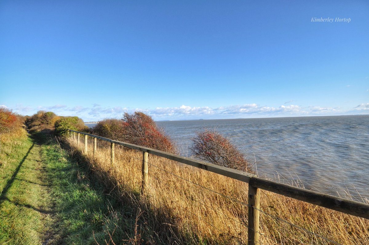 Kimberley Hortop 🏴󠁧󠁢󠁷󠁬󠁳󠁿🇺🇦 tweet media