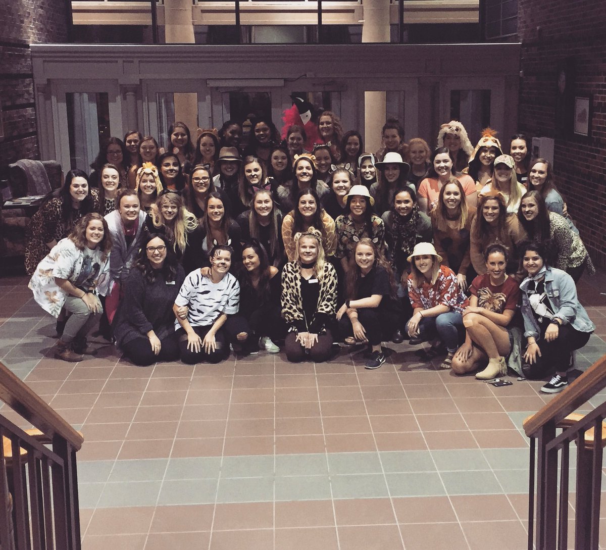 HSUSigmaAlpha's tweet photo. Thank you to all the wonderful ladies who joined us for Safari! We had so much fun and are so excited that we’re getting to know y’all more! Keep an eye out for our next mandatory rush event 😋 #RushSigmaAlpha https://t.co/XWeHbX9xUv