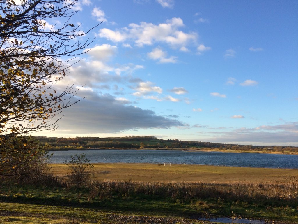 HolmesIzzy147's tweet photo. Perfect hour walking around Nosterfield quarry #nosterfield https://t.co/6HAQGwOzim