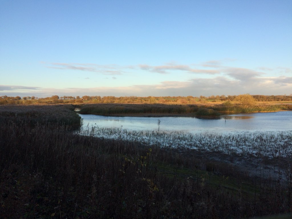 HolmesIzzy147's tweet photo. Perfect hour walking around Nosterfield quarry #nosterfield https://t.co/6HAQGwOzim