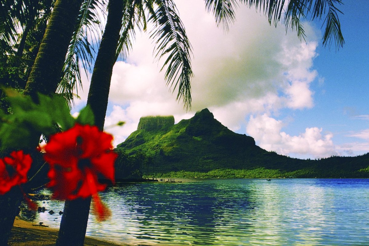 WindstarCruises's tweet photo. Book now and get the best deal on our new 11-day voyage to incredible, enticing #Tahiti and the Tuamotu Islands: https://t.co/GcFi3Cwwte #OneWeekSale #WindstarCruises https://t.co/tFajewS7s7