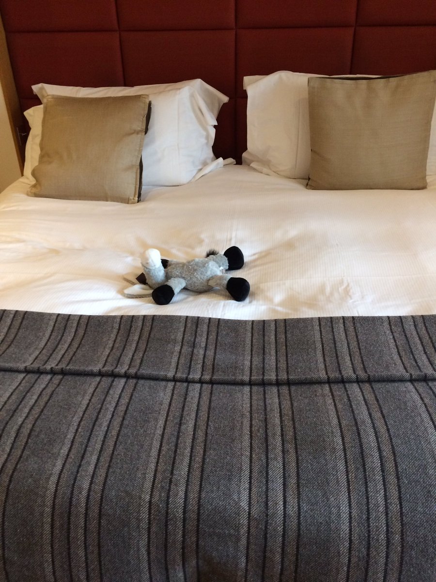 greydanielle's tweet photo. #earlgreydonkey #earlgrey #thegrove #wildgooseevents #wildgoose https://t.co/4MGkl6Wf23