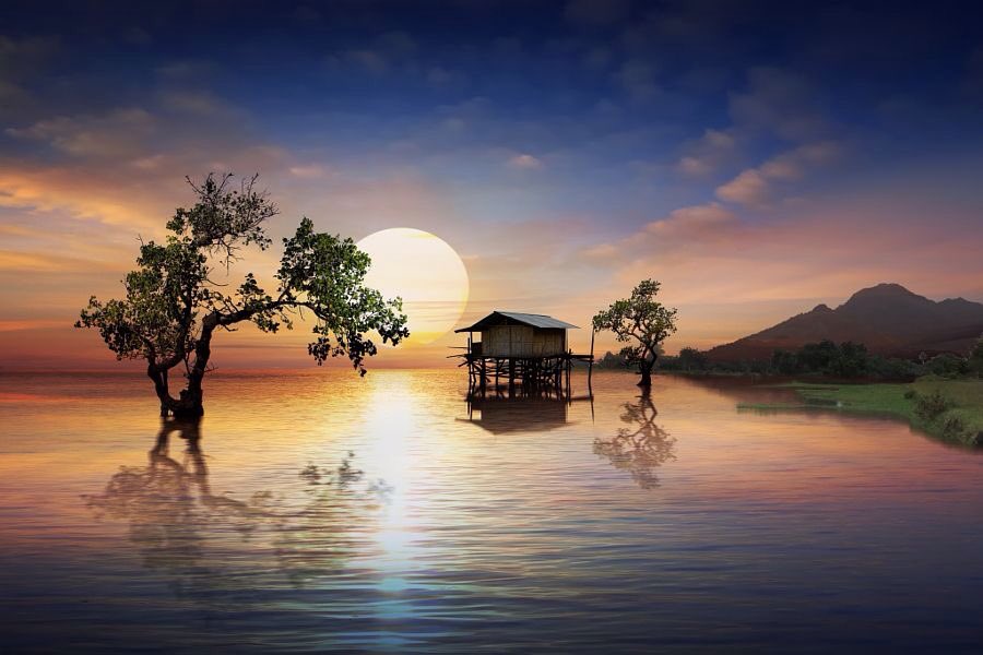 What is success?
It is being able to go to bed each night with your soul at peace.

Paulo Coelho
