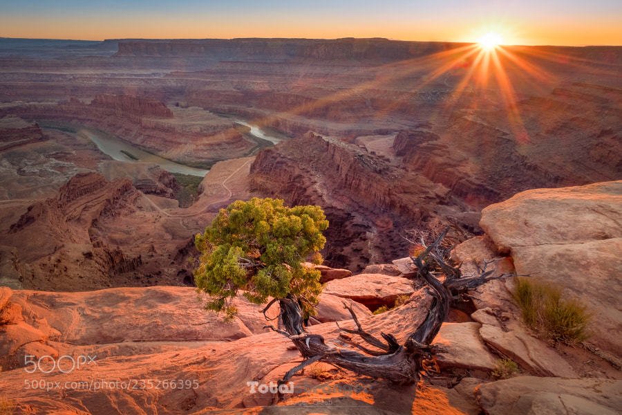 discoverwtravel tweet picture