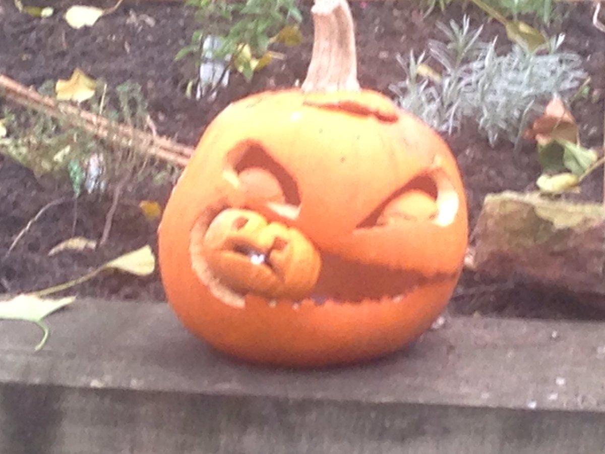 ARCGarden's tweet photo. Last night to see #PumpkinsOnParade in the community garden including this cannibal pumpkin  @HelenRumbelow https://t.co/aCBProd7Eq