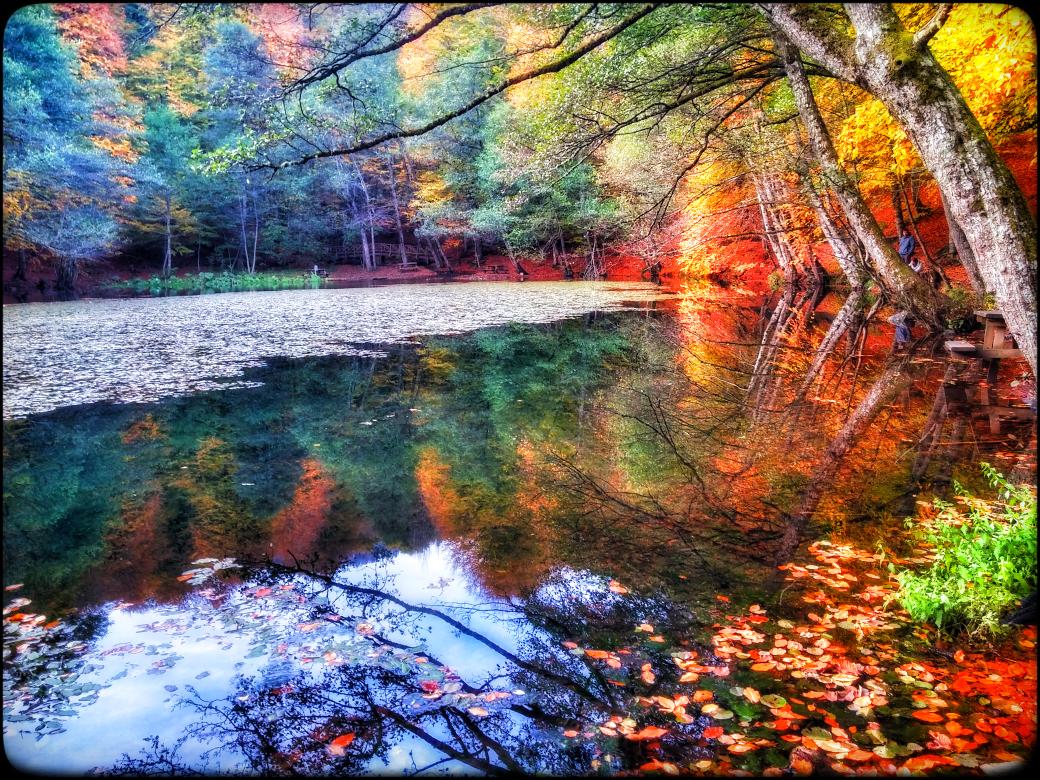 aydın kip (@shxapay) on Twitter photo 